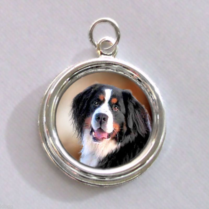 Bernese Mountain Dog Silver CHARM   PENDANT  