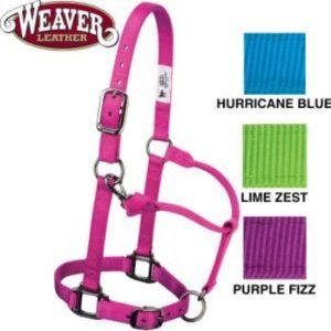 Weaver Graphite Horse Halter Neon Lime Green Zest ADJ S  