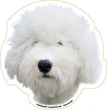 Old English Sheepdog Dog Head Car Magnet  