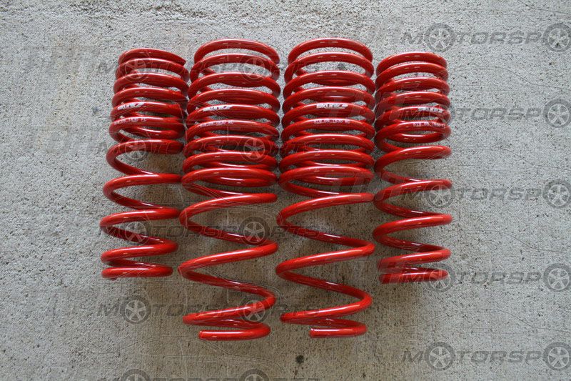 SKUNK2 90 93/94 97 Accord DX/LX/EX Lowering Springs 92  