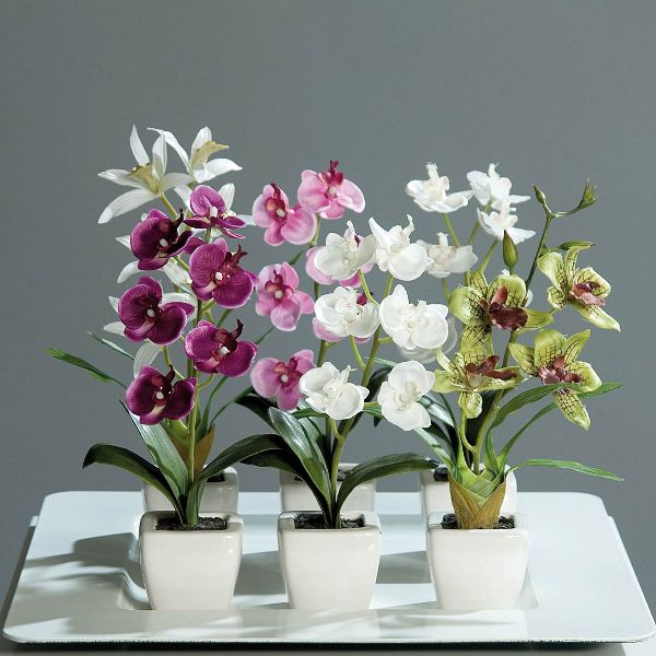 Mini Orchideen im Topf 18 cm Kunstblumen Kunstpflanze Set Orchidee 