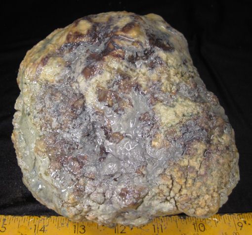 rm69   OLD STOCK   Agatized Dino Coprolite   Utah   4.1 lbs  