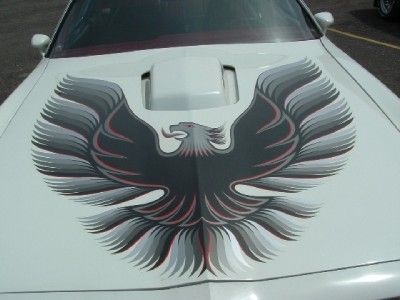 78 79 80 Pontiac Trans Am Blue Red Gold Decals Kit Bird  