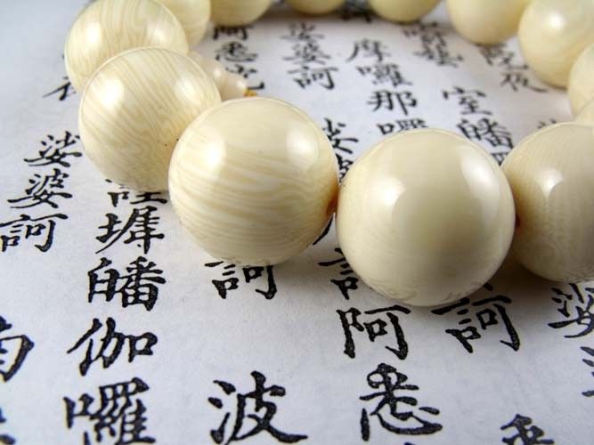 18mm hippo teeth beads Tibetan Buddhism Amulet Bracelet  