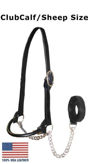 Round Cattle Show Halter wLead USA Leather Havana CCalf  