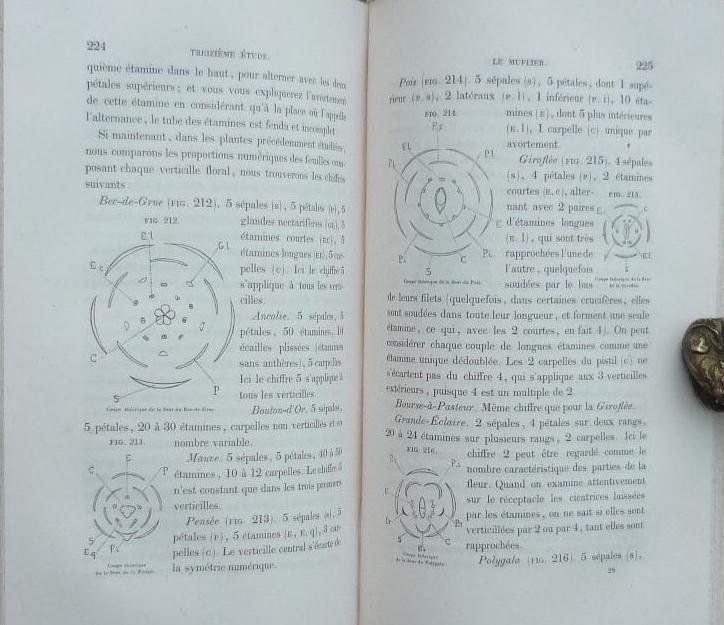 1stEd 1844 BOTANY LESSONS (Fr.) Leather Hand Col Plates  