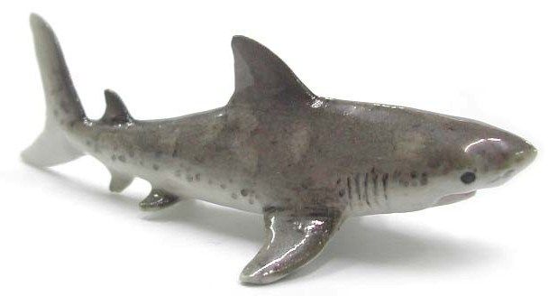 Northern Rose Miniature   Great White Shark Baby R160  