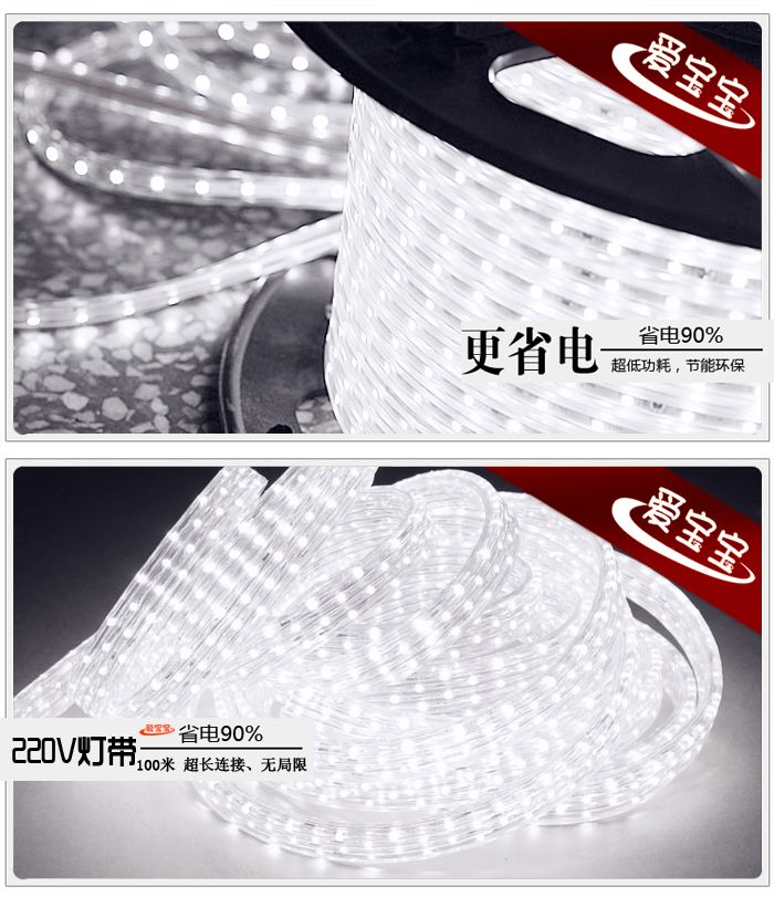 Led Flexible Strip SMD 5050 60Led/m Input 220V AC IP68  