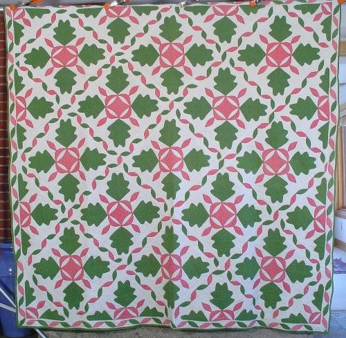 OUTSTANDING 1880s ANTIQUE OAK LEAF QUILT ~GREAT BORDER  