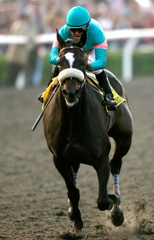 2009 Mike Smith Zenyatta Breeders Cup Championship Horse Racing 8x10 