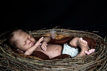 SIMPLY REBORN Learn the BABY DOLL ART ONLINE CLASSES  